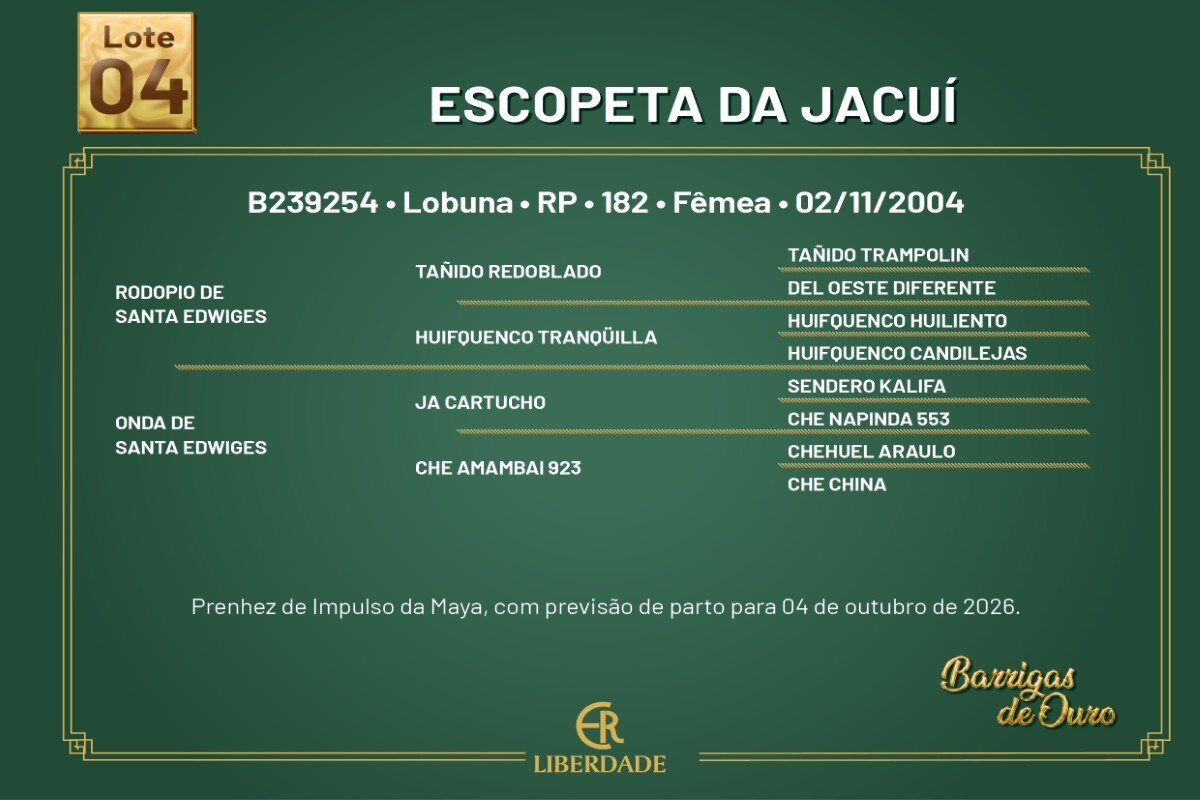 Geração ESCOPETA DA JACUÍ