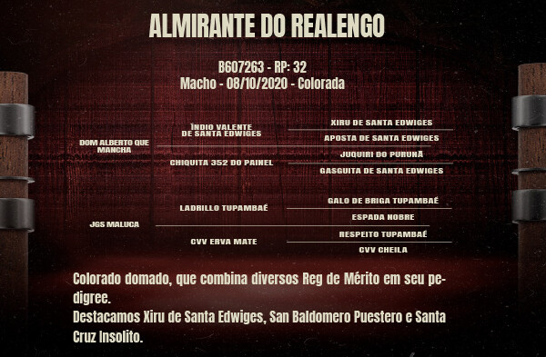 Geração ALMIRANTE DO REALENGO
