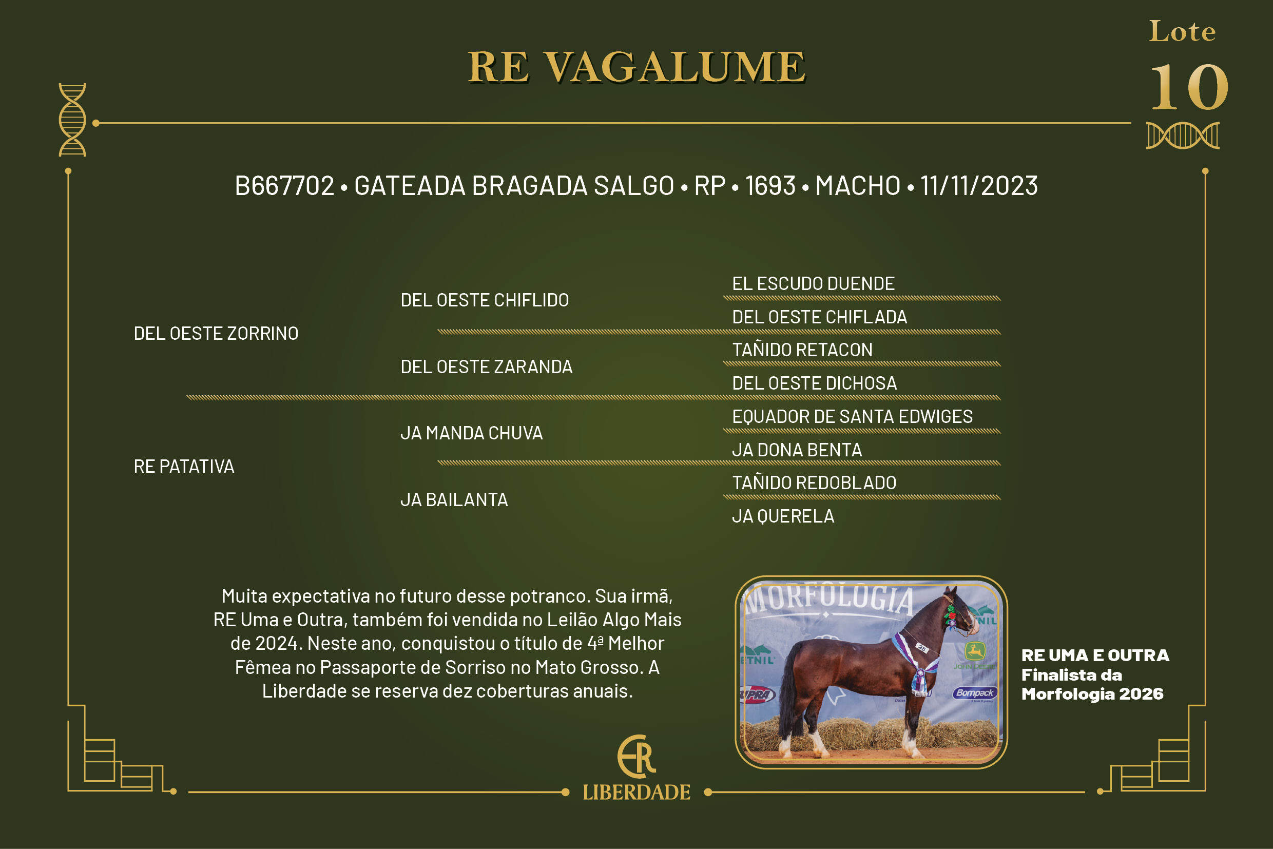 Geração RE VAGALUME 