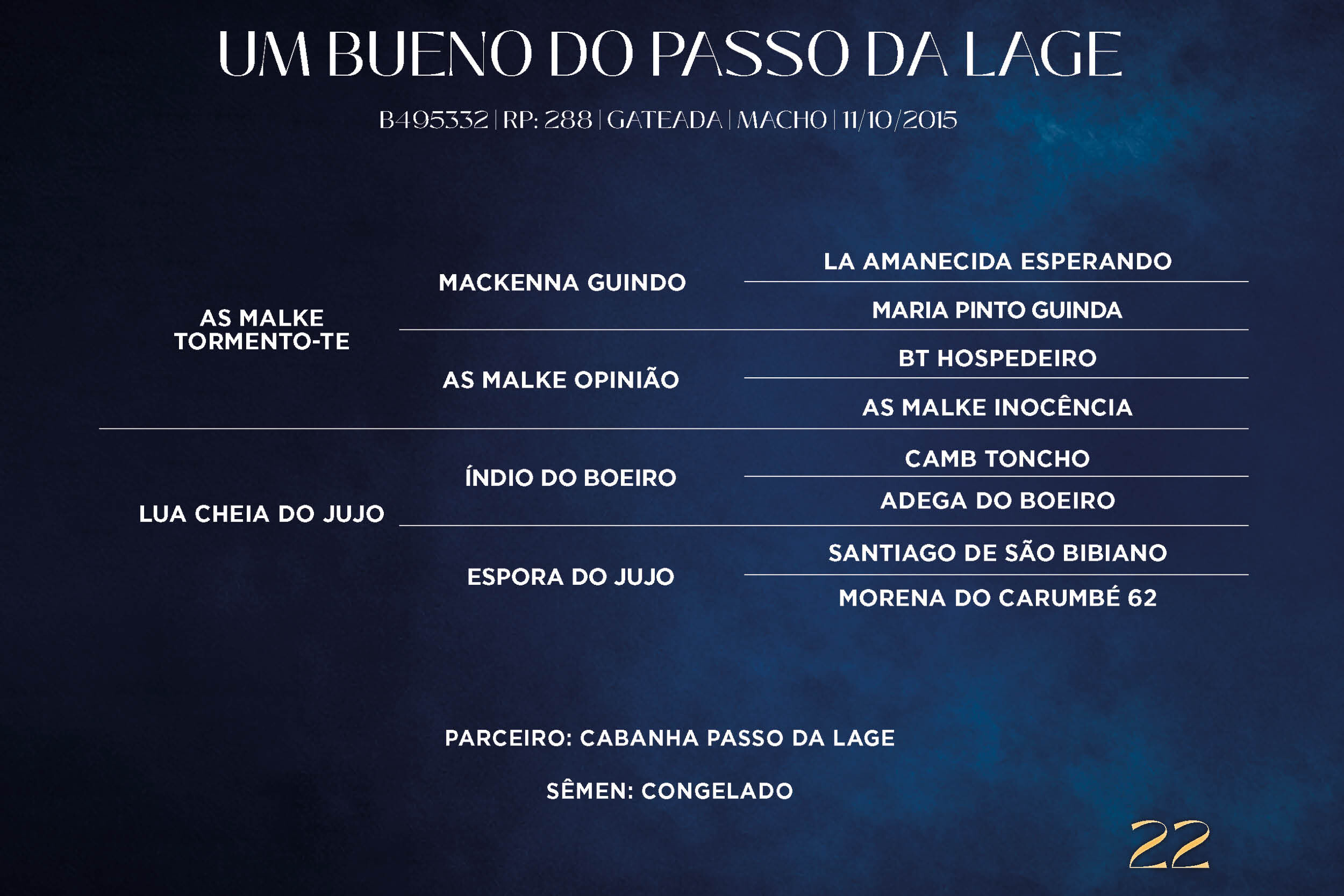 Geração UM BUENO DO PASSO DA LAGE