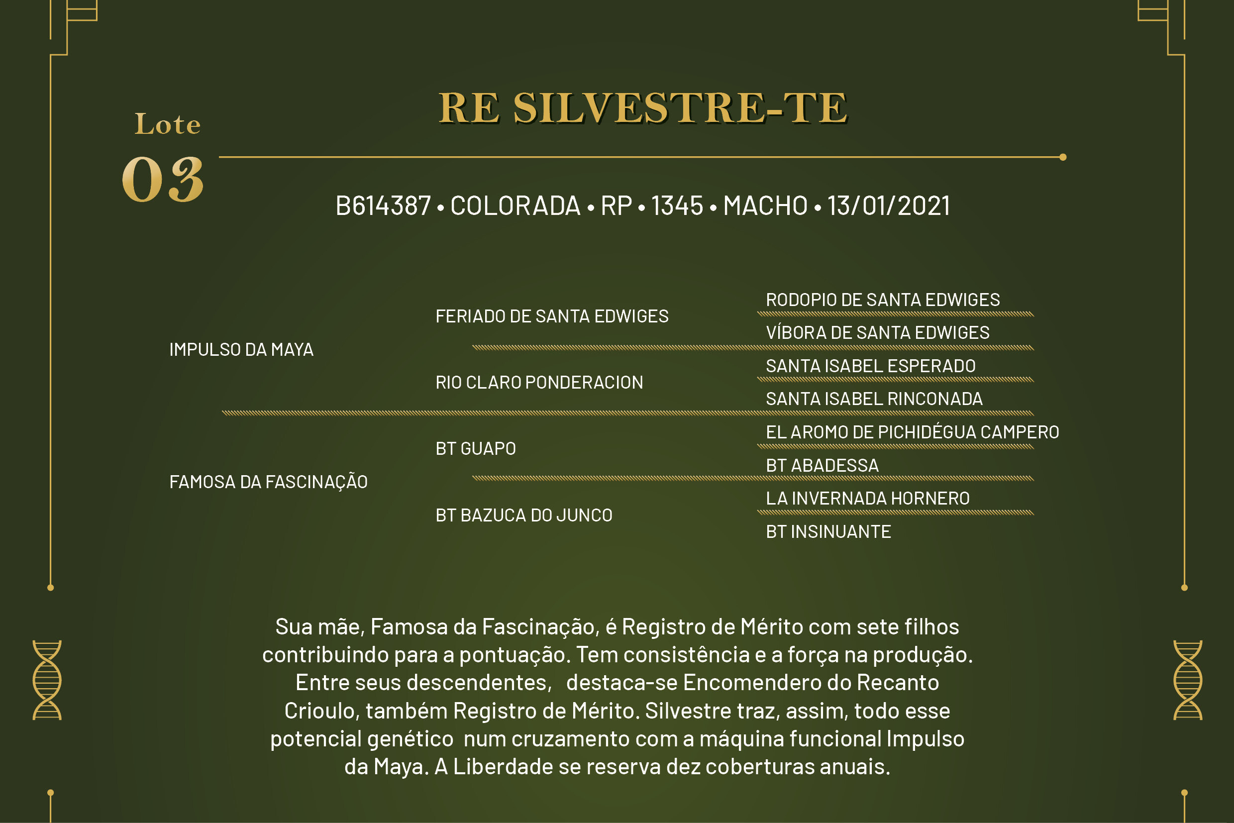 Geração RE SILVESTRE - TE 