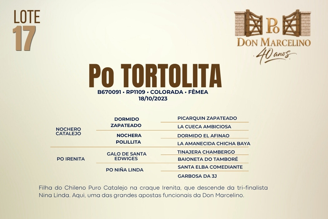 Geração PO TORTOLITA