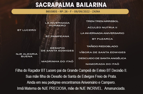 Geração SACRAPALMA BAILARINA