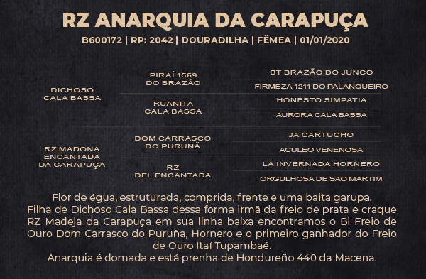 Geração RZ ANARQUIA DA CARAPUÇA