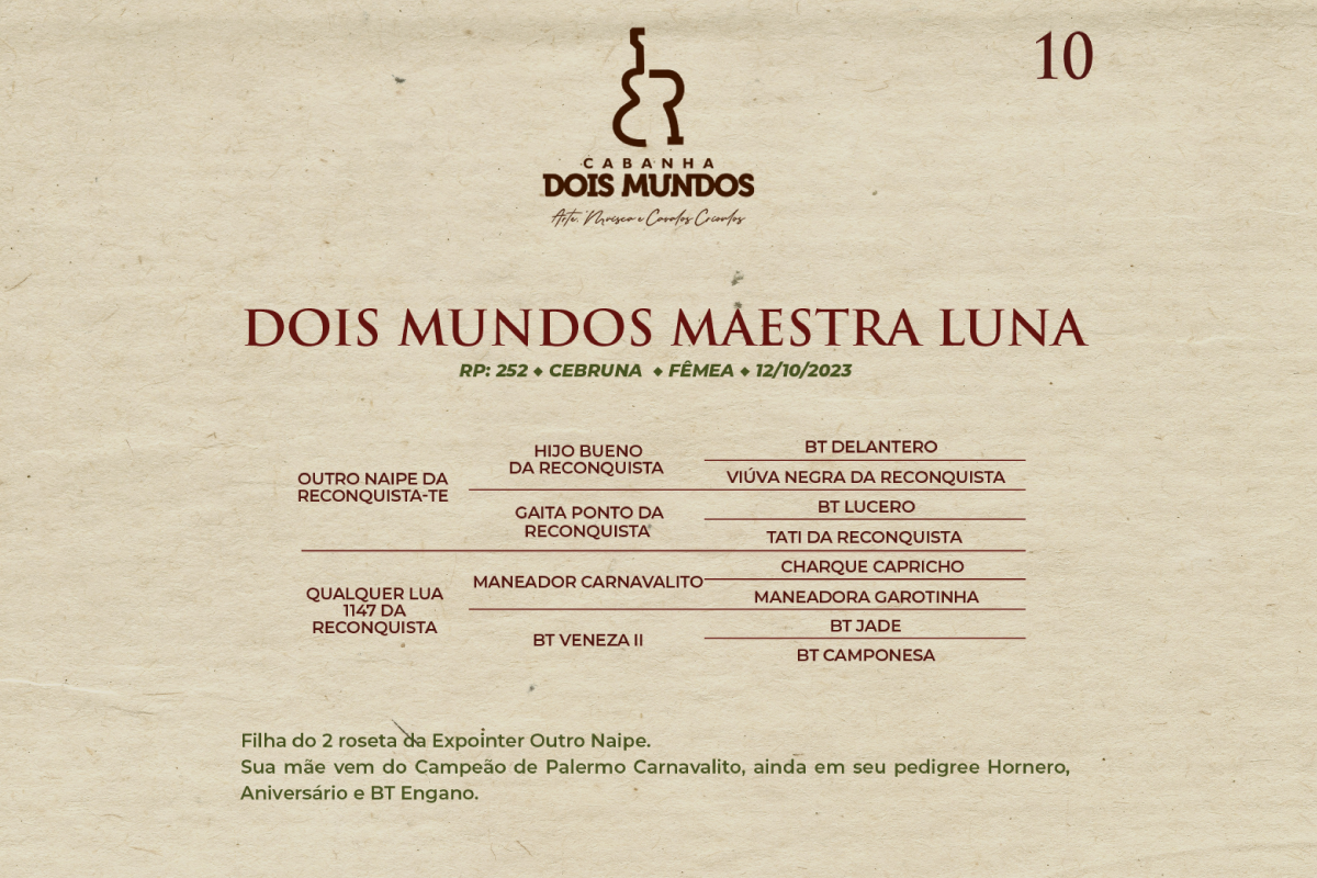 Geração DOIS MUNDOS MAESTRA LUNA