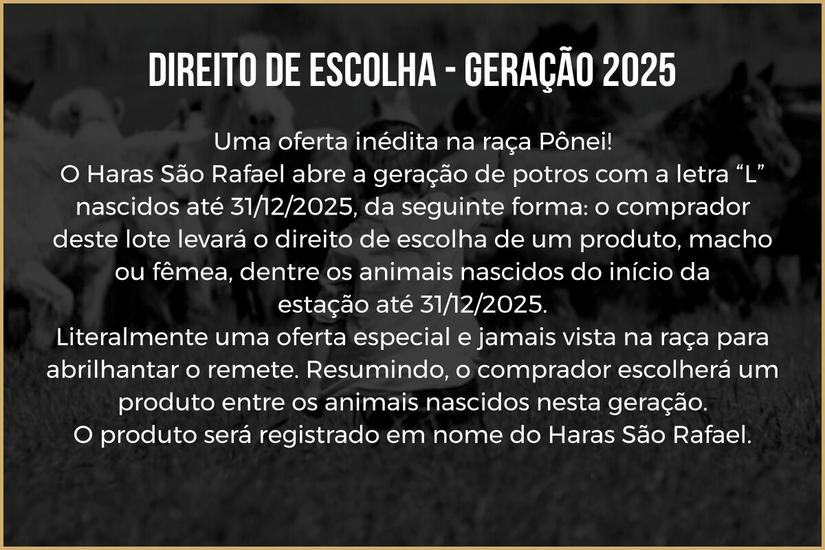 Geração DIREITO DE ESCOLHA - GERAÇÃO 2025