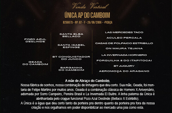 Geração VENDA VERTICAL ÚNICA AP DO CAMBOIM OU ORIGEM DO CAMBOIM - TE