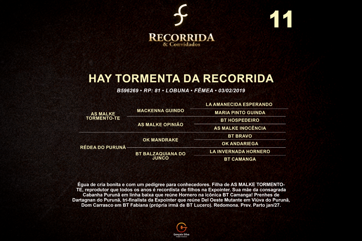 Geração HAY TORMENTA DA RECORRIDA 