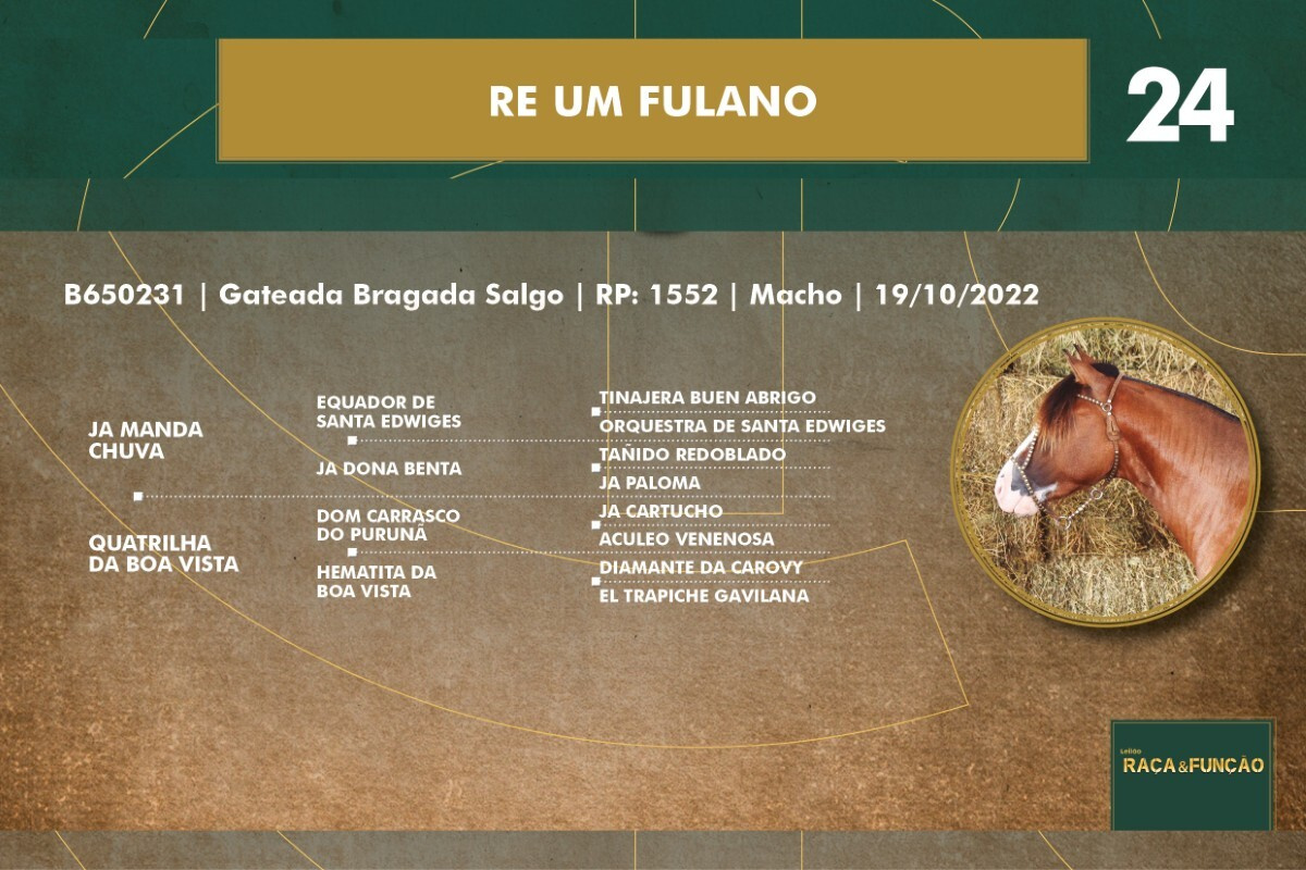 Geração RE UM FULANO