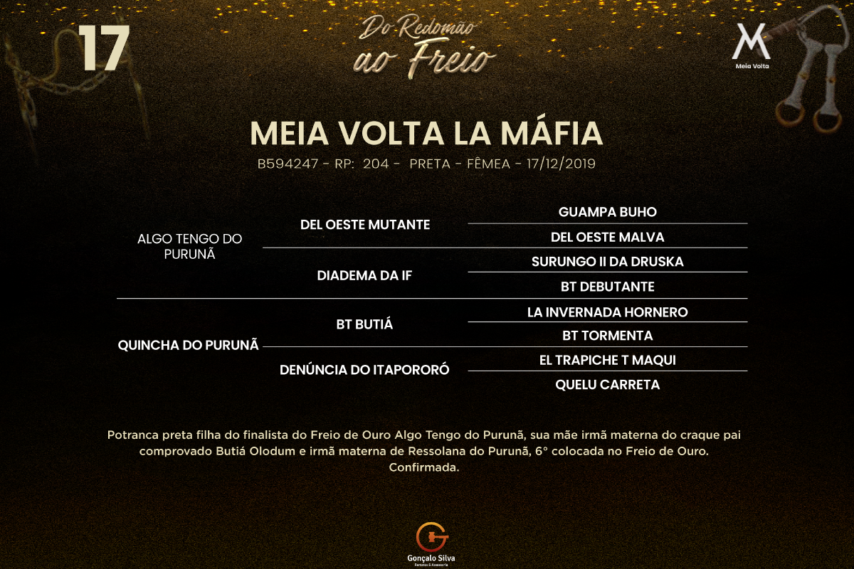 Geração MEIA VOLTA LA MÁFIA