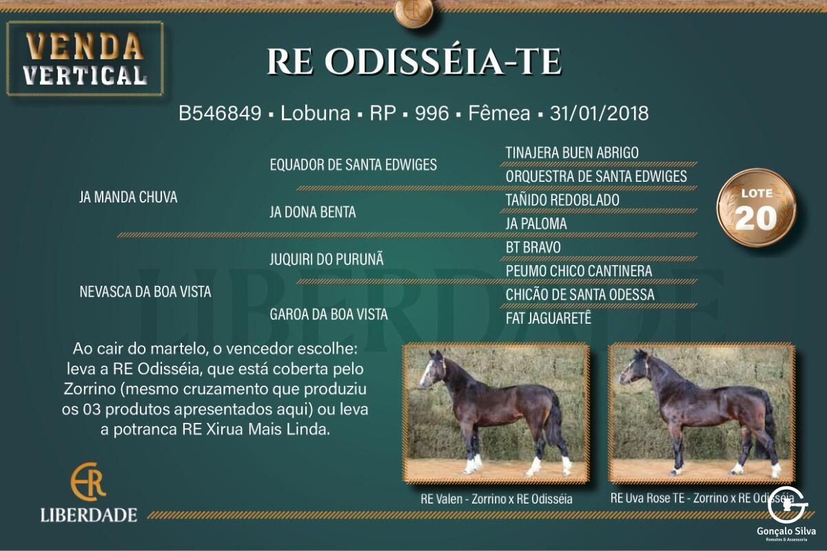 Geração RE ODISSÉIA-TE (Venda Vertcal)