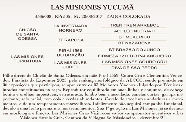 Geração LAS MISIONES YUCUMÃ - Coberturas