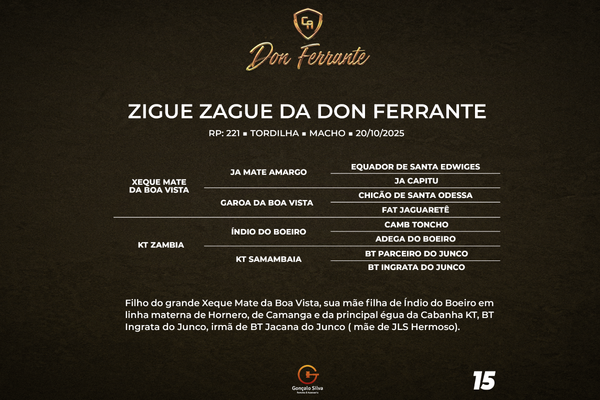 Geração ZIGUE ZAGUE DA DON FERRANTE 