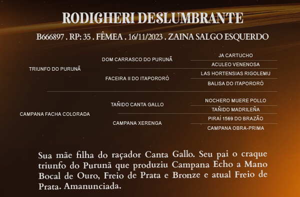 Geração RODIGHERI DESLUMBRANTE