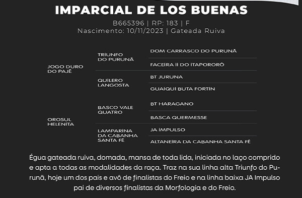Geração IMPARCIAL DE LOS BUENAS