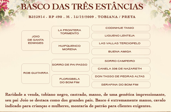 Geração BASCO DAS TRÊS ESTÂNCIAS 