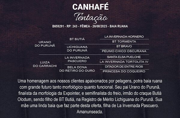 Geração CANHAFÉ TENTAÇÃO