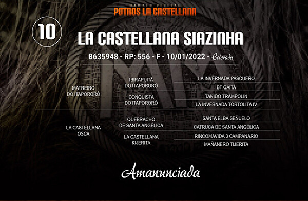 Geração LA CASTELLANA SIAZINHA