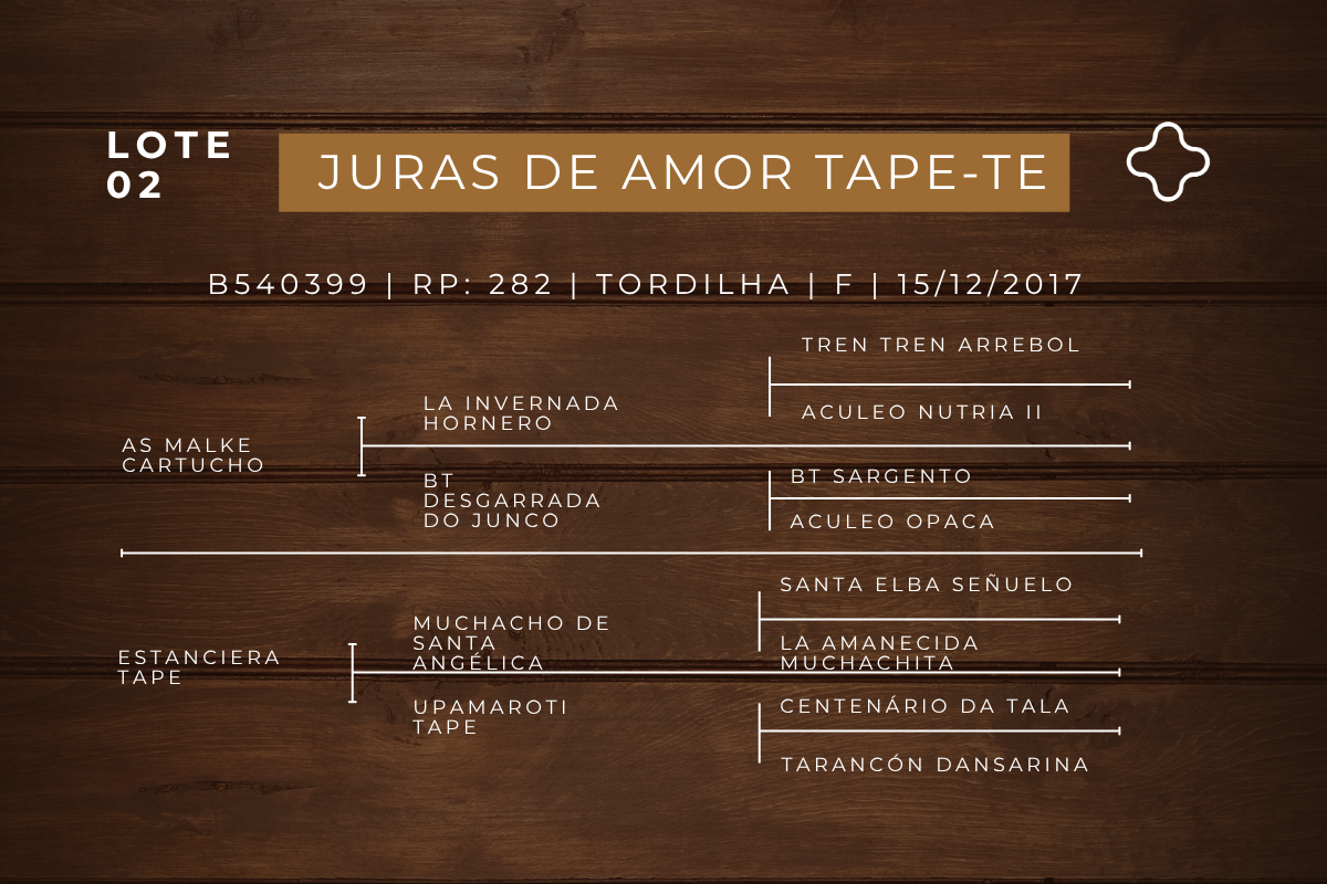 Geração JURAS DE AMOR TAPE - TE