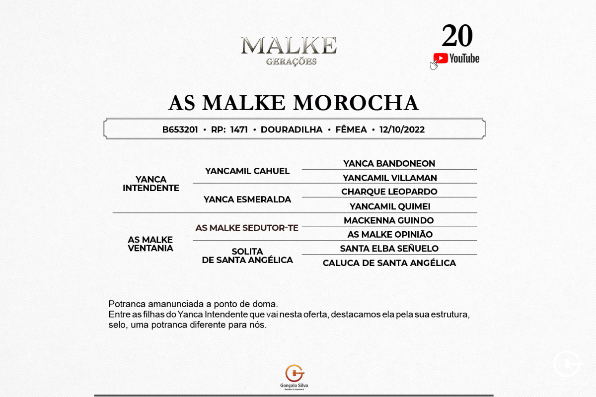 Geração AS MALKE MOROCHA
