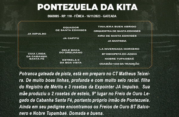 Geração PONTEZUELA DA KITA 