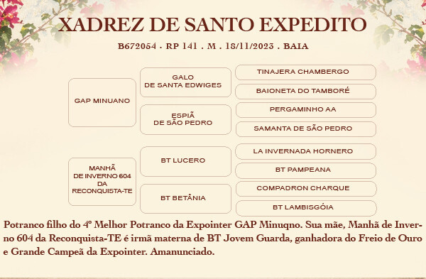 Geração XADREZ DE SANTO EXPEDITO 