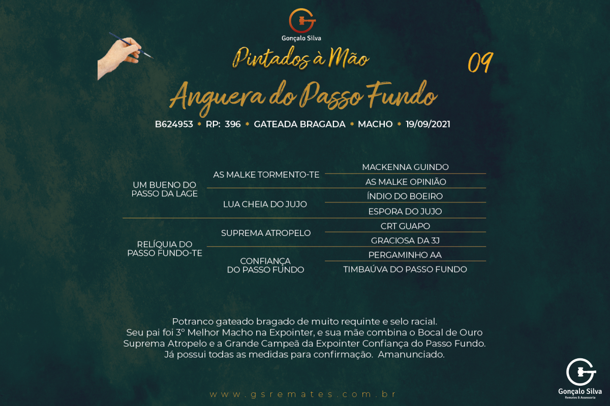 Geração ANGUERA DO PASSO FUNDO