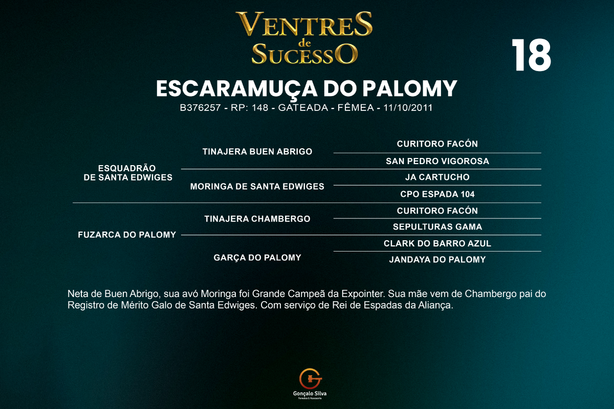 Geração ESCARAMUÇA DO PALOMY