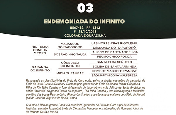 Geração ENDEMONIADA DO INFINITO