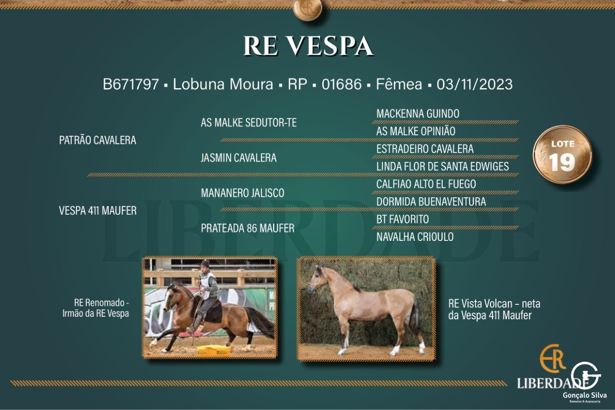 Geração RE VESPA