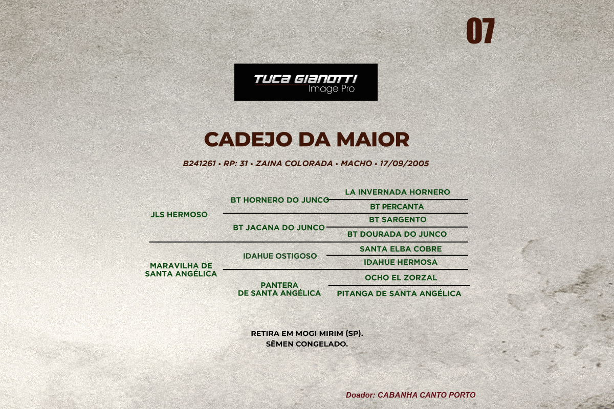 Geração CADEJO DA MAIOR 