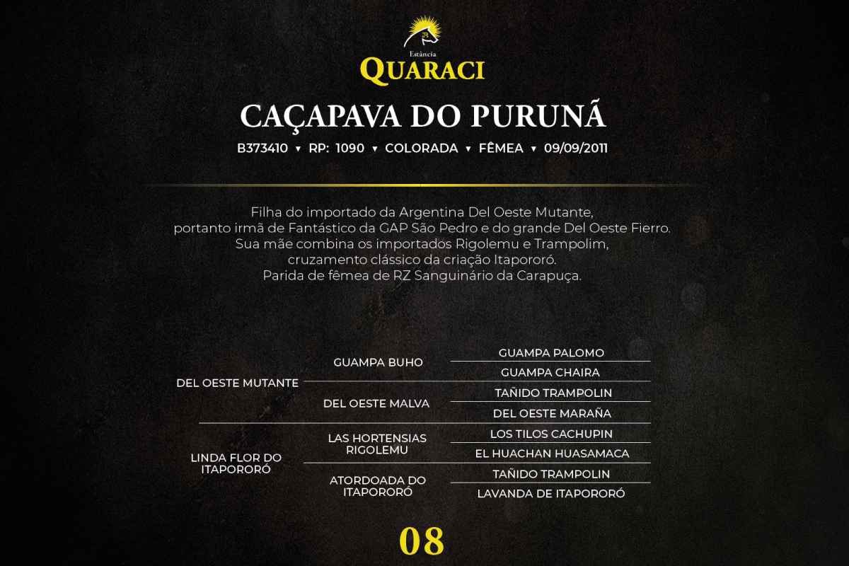 Geração CAÇAPAVA DO PURUNÃ