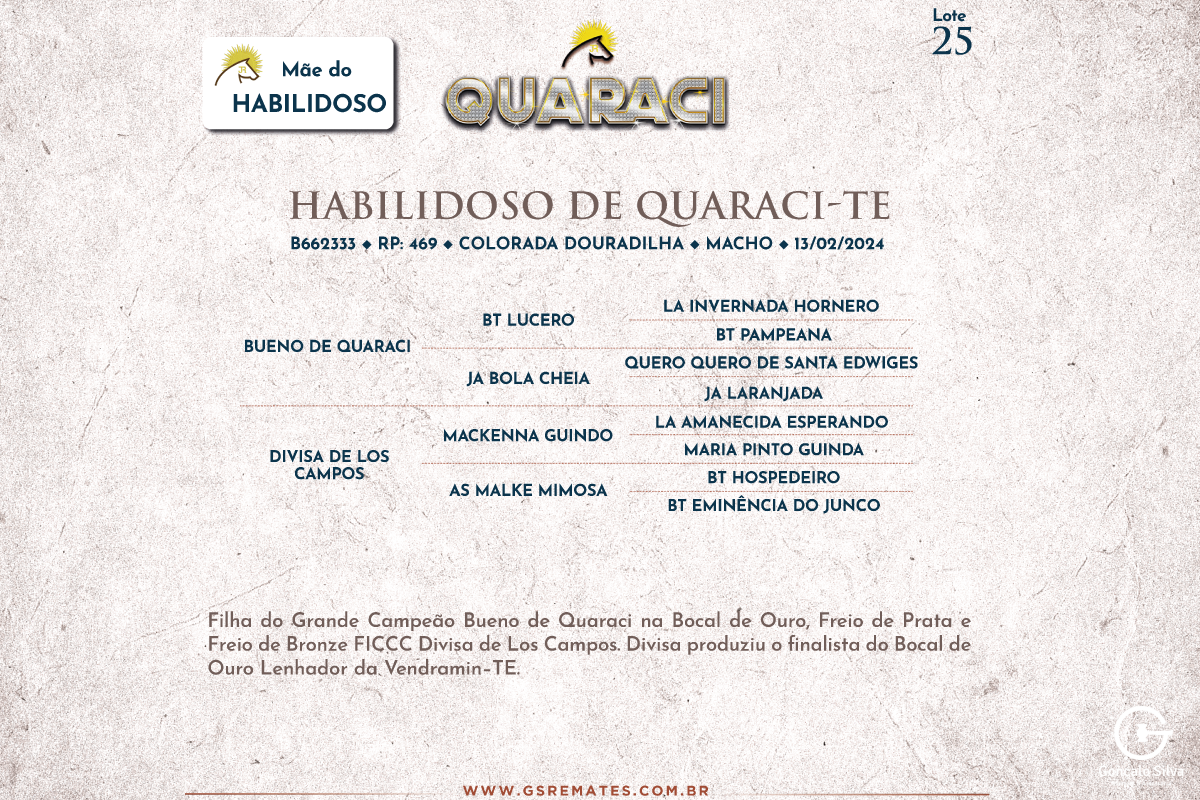 Geração HABILIDOSO DE QUARACI-TE