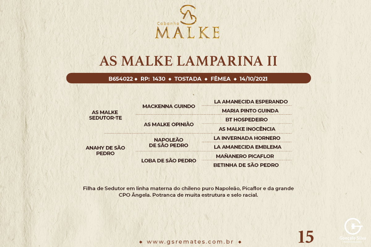 Geração AS MALKE LAMPARINA II