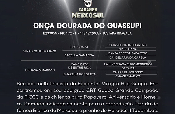 Geração ONÇA DOURADA DO GUASSUPI 