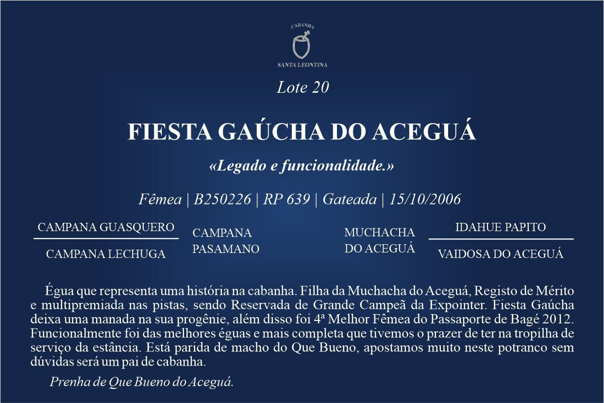 Geração FIESTA GAÚCHA DO ACEGUÁ