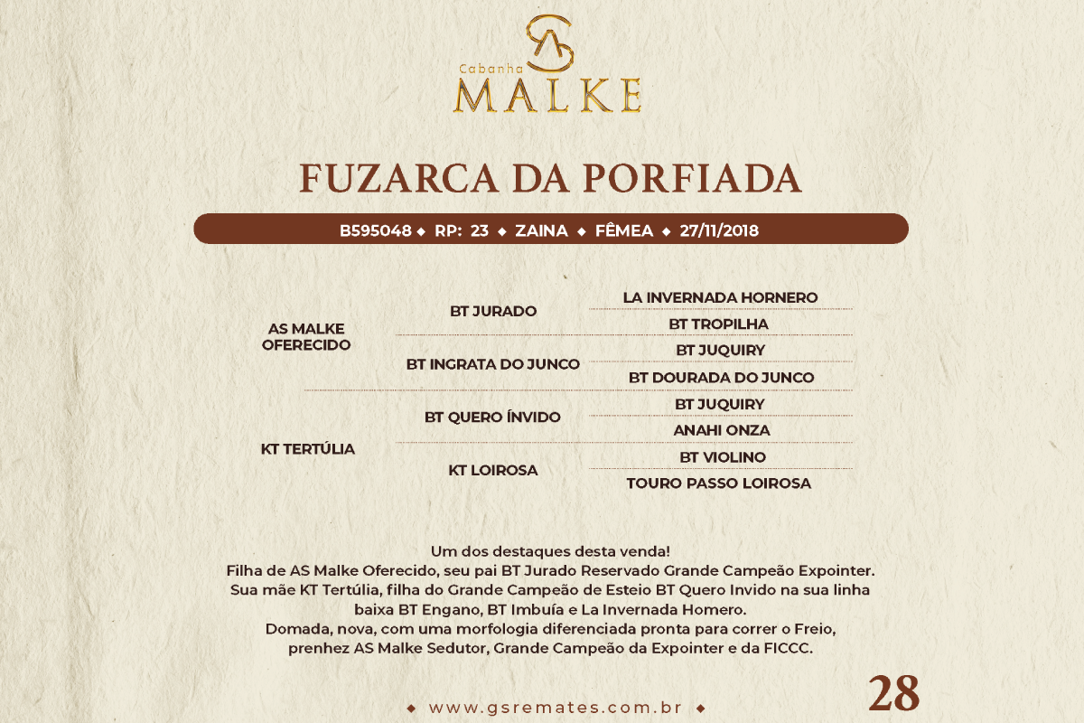 Geração FUZARCA DA PORFIADA