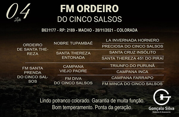 Geração FM ORDEIRO DO CINCO SALSOS