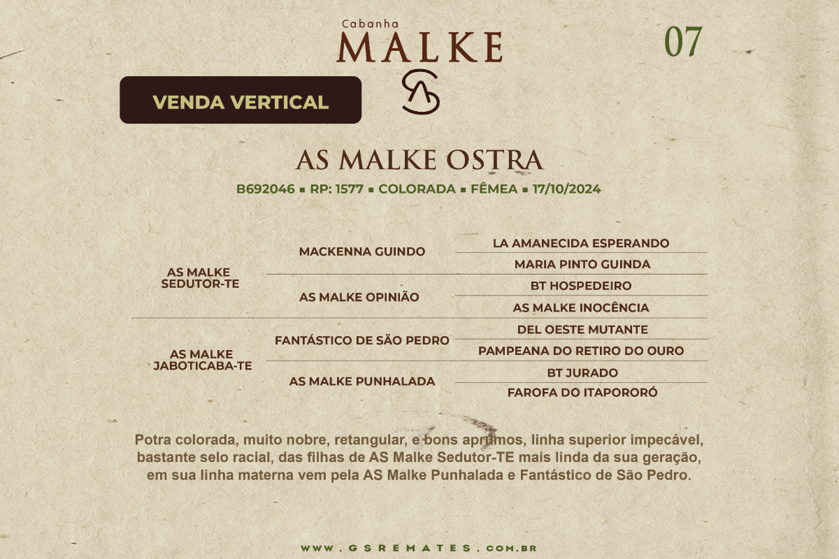 Geração VERTICAL AS MALKE OSTRA OU AS MALKE ONDINA
