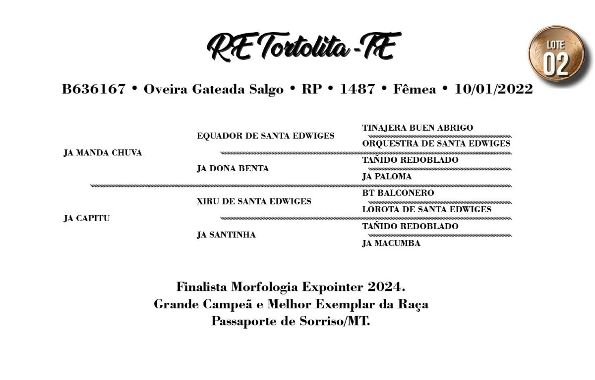 Geração RE TORTOLITA-TE