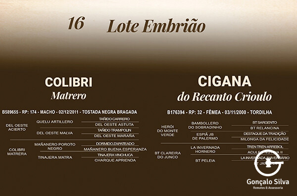 Geração CIGANA DO RECANTO CRIOULO X COLIBRI MATRERO - EMBRIÃO