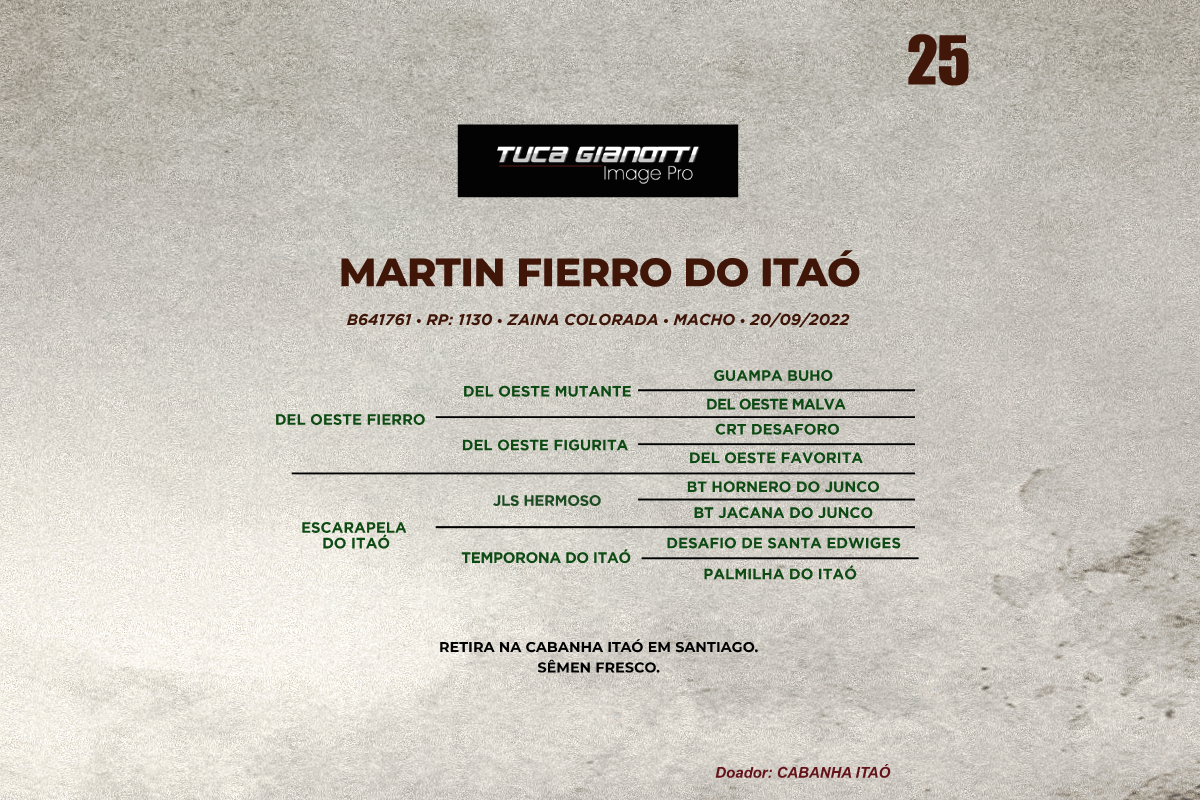 Geração MARTIN FIERRO DO ITAO 