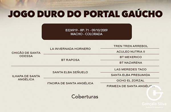Geração COBERTURA JOGO DURO DO PORTAL GAUCHO