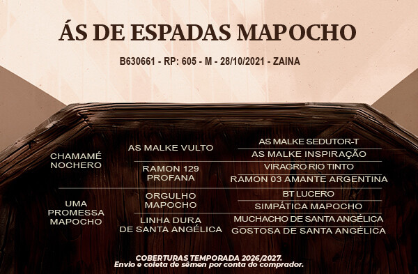 Geração Berro Grosso ou ÁS de Espada Mapocho