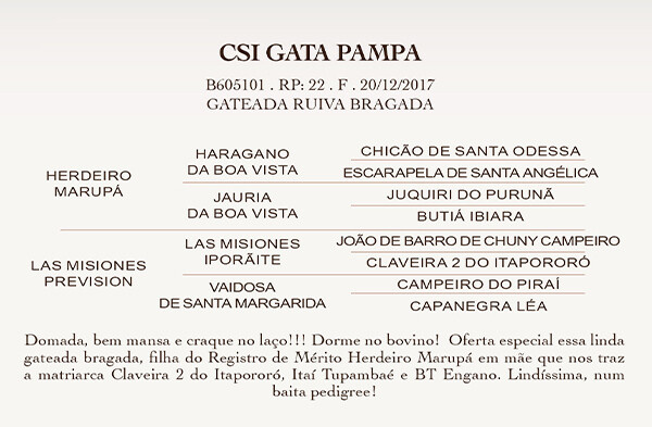 Geração  CSI GATA PAMPA