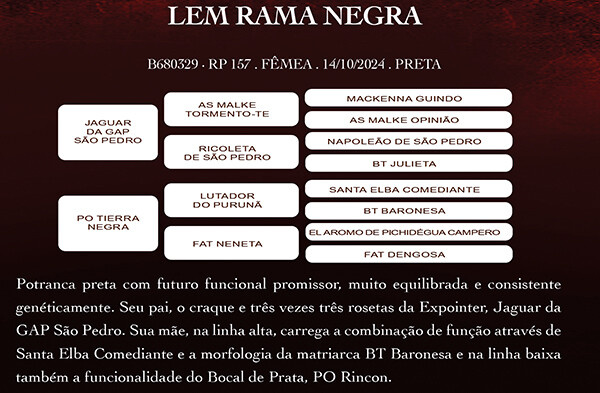Geração LEM RAMA NEGRA
