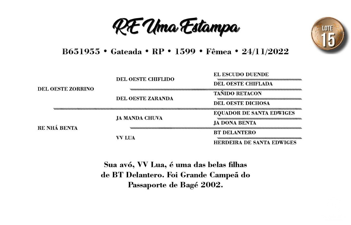 Geração RE UMA ESTAMPA (VENDA VERTICAL)