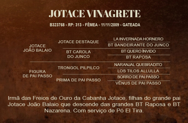 Geração JOTACE VINAGRETE 