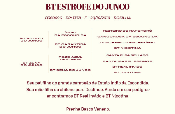 Geração BT ESTROFE DO JUNCO