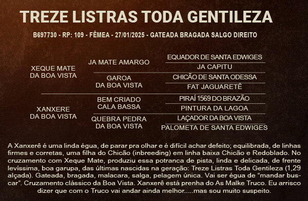 Geração TREZE LISTRAS TODA GENTILEZA - VENDA VERTICAL